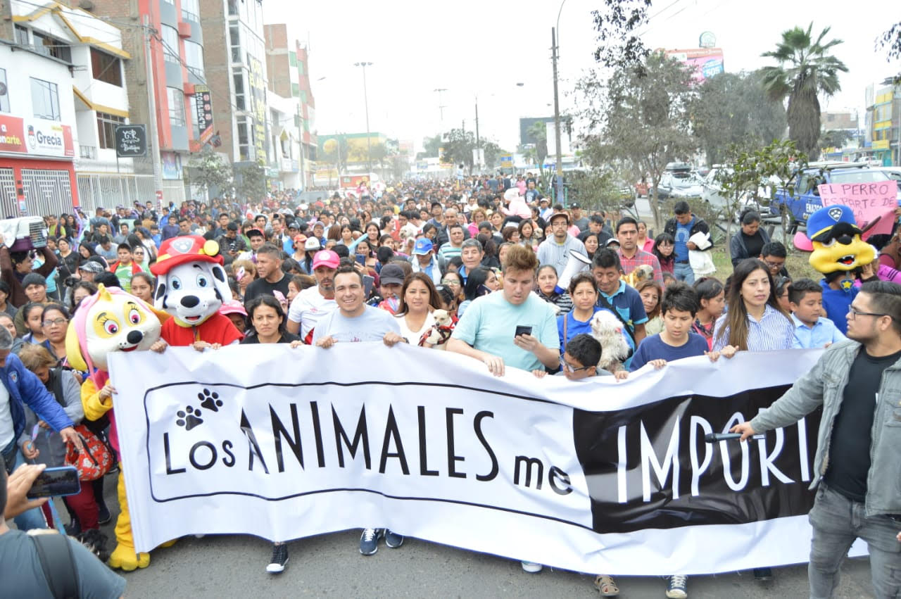 Caminata en Comas: “Los animales me importan” convoca a más 8 mil vecinos.